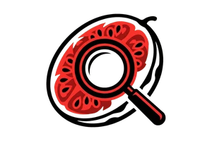 星空体育平台 - 吃瓜社Logo